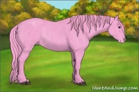Horse Color:Watercolor Black Appaloosa Rabicano 