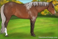 Horse Color:Silver Brown 