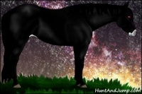 Horse Color:Red Dun Chinchilla 