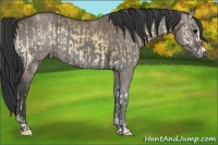 Horse Color:ERROR: UNKNOWN ANOMALY and ERROR: UNKNOWN ANOMALY