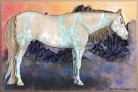 Horse Color:Watercolor Buckskin Pearl and Thunderstruck Buckskin Roan Pearl Splash Frame