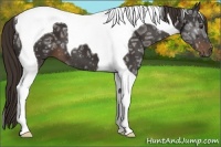 Horse Color:Liver Chestnut Ice Tobiano 