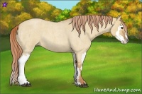Horse Color:Red Dun Roan Splash Frame Rabicano 