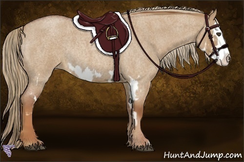 Horse Color:Red Dun Roan Splash Frame Rabicano 
