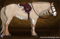 Horse Color:Red Dun Roan Splash Frame Rabicano 
