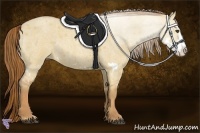 Horse Color:Red Dun Roan Splash Frame Rabicano