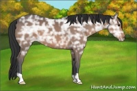 Horse Color:Brown Ice