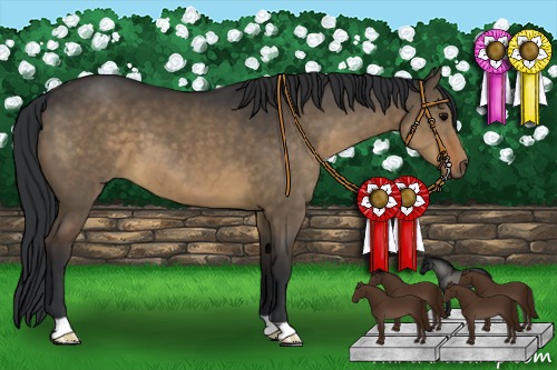 Horse Color:Brown Dun