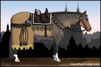 Horse Color:Brown Dun Rabicano