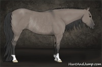 Horse Color:Grullo Rabicano 