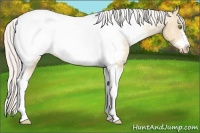 Horse Color:Silver Sable Champagne Dun Tobiano Frame Near Fewspot 