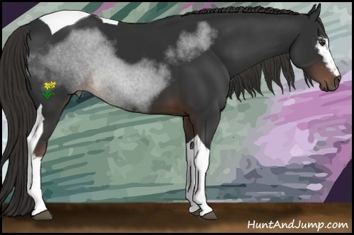 Horse Color:White Spotted Liver Chestnut Tobiano 