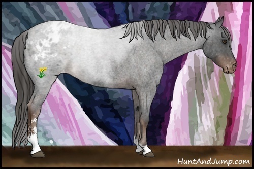 Horse Color:Liver Red Roan Sabino Blanket 