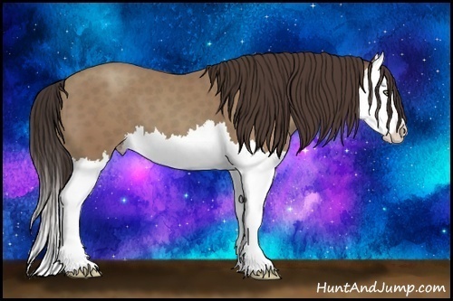 Horse Color:Classic Champagne Splash