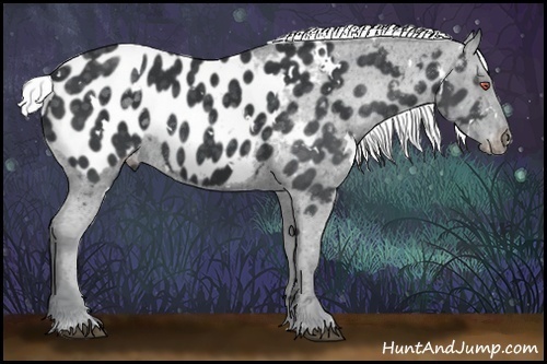 Horse Color:White Spotted Silver Smoky Black Chinchilla Near Leopard Rabicano 