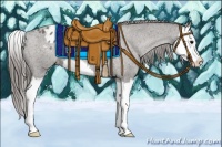 Horse Color:Grullo Splash Appaloosa Rabicano 