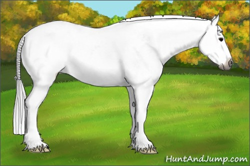 Horse Color:Gray Grullo Sabino Splash