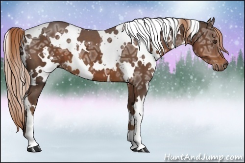 Horse Color:White Spotted Liver Chestnut Ice 