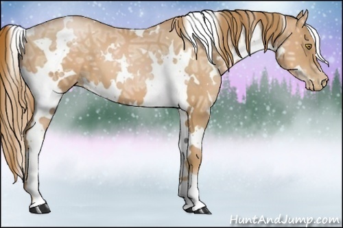 Horse Color:White Spotted Chestnut Ice Pearl 