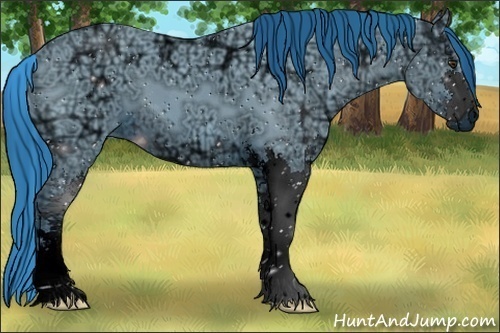 Horse Color:ERROR: UNKNOWN ANOMALY