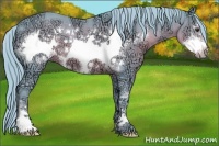 Horse Color:Watercolor Liver Chestnut Ice Sabino Frame