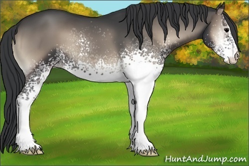 Horse Color:White Spotted Blue Onyx 