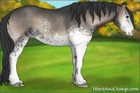 Horse Color:White Spotted Blue Onyx 