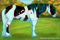 Horse Color:Thunderstruck White Spotted Silver Smoky Black Near Fewspot Rabicano 