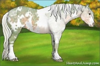 Horse Color:Watercolor White Spotted Silver Smoky Black Ice Sabino