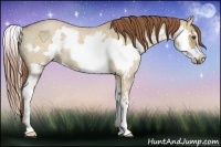 Horse Color:Red Dun Roan Splash Frame Rabicano