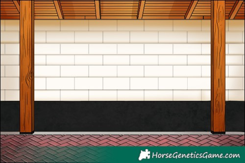 Horse Color:White Spotted Silver Bay Dun 