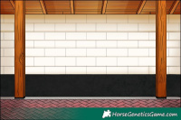 Horse Color:White Spotted Silver Bay Dun