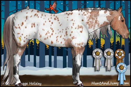 Horse Color:White Spotted Bay Near Leopard
