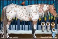 Horse Color:White Spotted Bay Near Leopard
