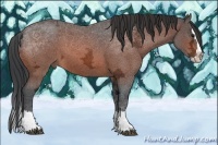 Horse Color:Bay Ice Roan Splash