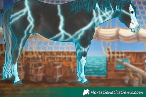 Horse Color:Thunderstruck Liver Chestnut Sabino Splash 