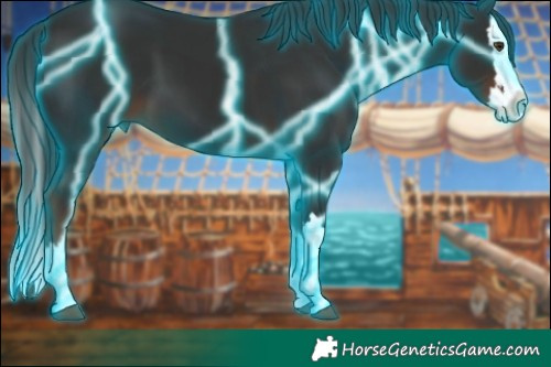 Horse Color:Thunderstruck Liver Chestnut Sabino Splash 