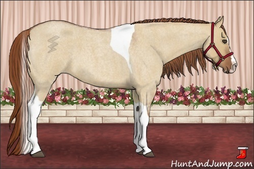 Horse Color:Red Dun Roan Splash Tobiano Frame Rabicano 