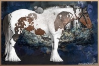 Horse Color:White Spotted Liver Chestnut Tobiano Varnish