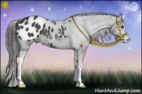 Horse Color:Black Sabino Appaloosa