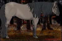 Horse Color:Grullo Brindle