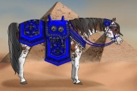 Horse Color:Bay Sabino Rabicano