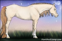 Horse Color:Buckskin Roan Pearl  and Buckskin Roan Pearl 