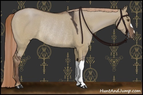 Horse Color:Liver Red Dun Rabicano 