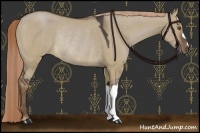 Horse Color:Liver Red Dun Rabicano 