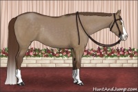 Horse Color:Liver Red Dun Splash Rabicano