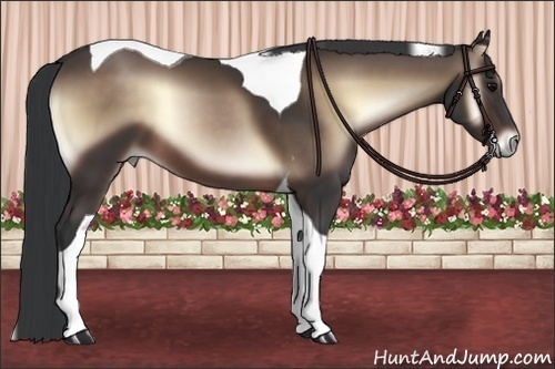 Horse Color:Brown Onyx Tobiano 