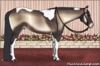 Horse Color:Brown Onyx Tobiano 