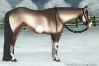 Horse Color:Bay Onyx Frame Rabicano