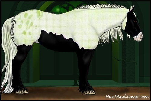 Horse Color:Watercolor Plaid  Chestnut Splash Appaloosa 